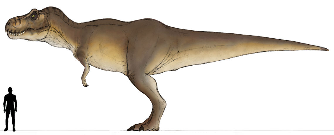 Tyrannosaure rex