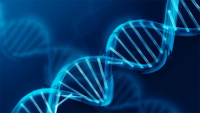 Extracción de ADN