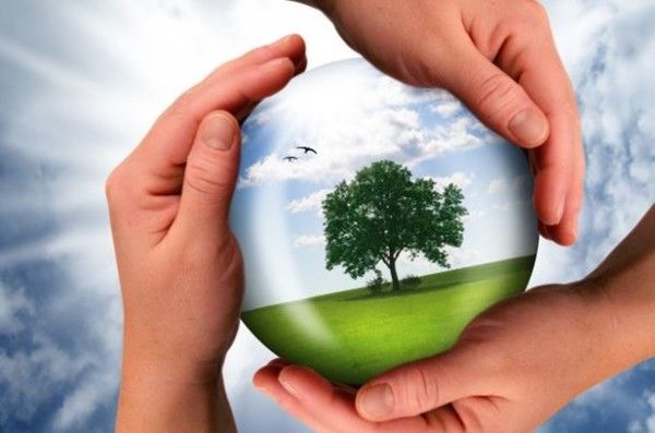 La cultura del cuidado ambiental