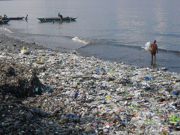 La cultura del cuidado ambiental