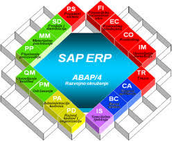 Prioridad en los factores claves para el éxito en ERP