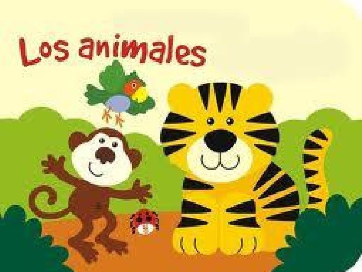 ANIMALES Y SUS CARACTERISTICAS