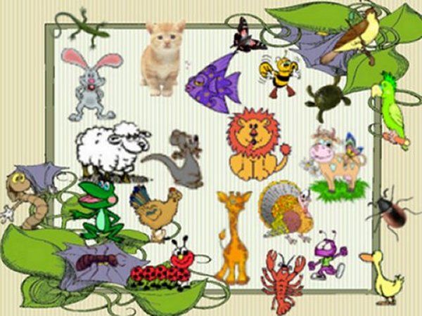 ANIMALES Y SUS CARACTERISTICAS