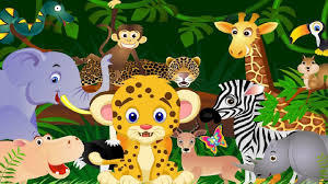 Características de los animales