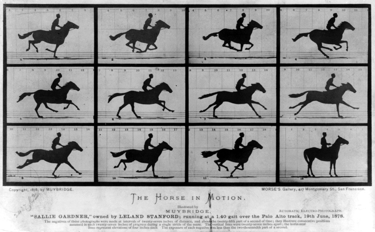 History of Photography 1839-Present day