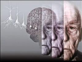 Comprensión de la Psicopatología de la Adultez y la Vejez
