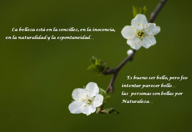 HUMILDAD. VER LAS COSAS DESDE EL PUNTO DE VISTA AJENO