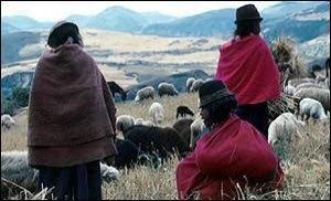 ÁMBITOS DE APLICACIÓN DE LA SOCIOLOGÍA