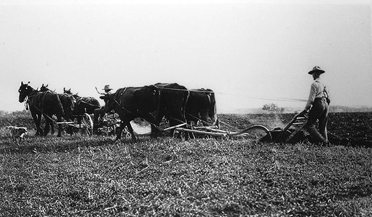 1920s Canada- Parmvir Shergill