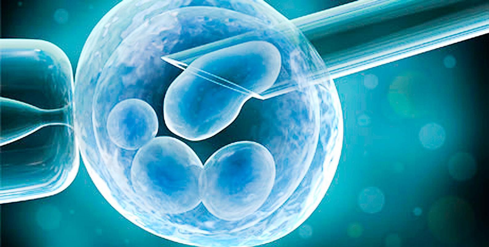Reproduccion Asistida Y Inseminacion Artificial