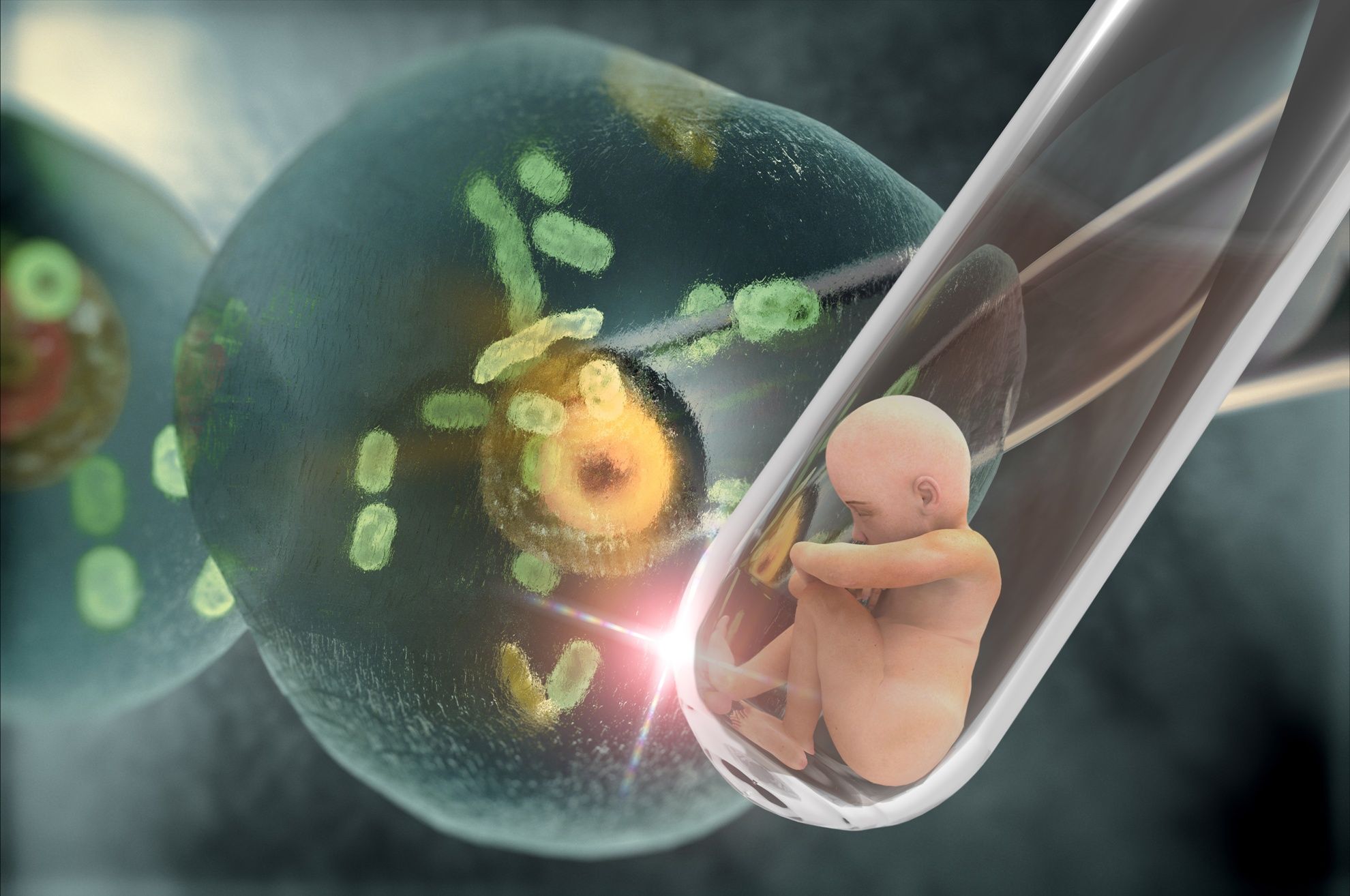 Reproduccion Asistida Y Inseminacion Artificial