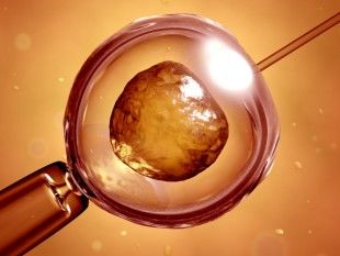 Reproduccion Asistida Y Inseminacion Artificial