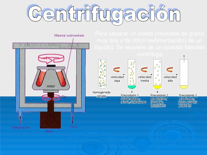 Tema 3: La materia y su aspecto