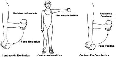 UNIDAD MOTORA. FUERZA Y POTENCIA MUSCULAR