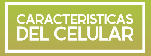 CARACTERISTICAS DEL CELULAR