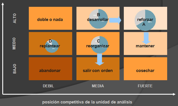 Planeación Estratégica Objetivos - Holman Paez