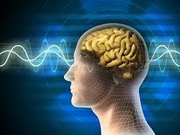 conocimientos de la psicología como ciencia