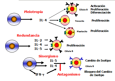 BIOLOGÍA MOLECULAR Y GENÉTICA. FISIOLOGÍA REPRODUCTIVA