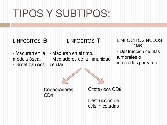 BIOLOGÍA MOLECULAR Y GENÉTICA. FISIOLOGÍA REPRODUCTIVA