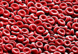 Alteraciones gastrointestinales y hematológicas durante le embarazo CONTINUACIÓN