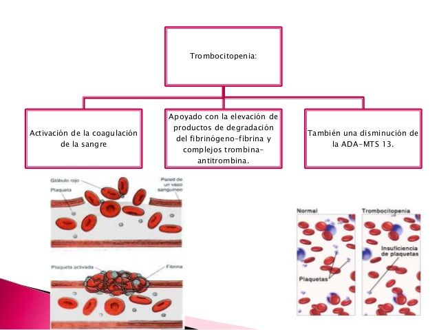 Alteraciones gastrointestinales y hematológicas durante le embarazo CONTINUACIÓN