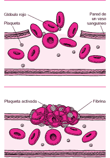 Alteraciones gastrointestinales y hematológicas durante le embarazo CONTINUACIÓN