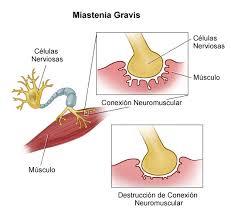 Alteraciones neurológicas, psíquicas y dermatológicas. Enfermedades neoplásicas
