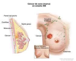 Alteraciones neurológicas, psíquicas y dermatológicas. Enfermedades neoplásicas
