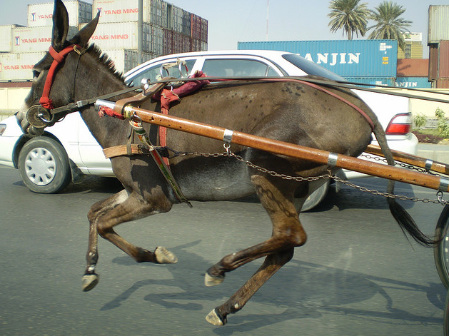 A Game of Polo with a Headless Goat
