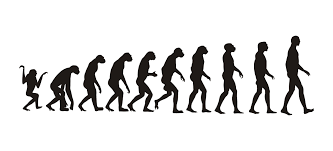 La historia y la prehistoria