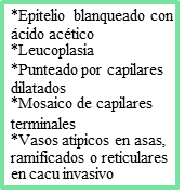 Enfermedad intraepitelial de cervix, vagina y vulva