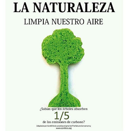 LIMPIAR EL AIRE DE CARBONO