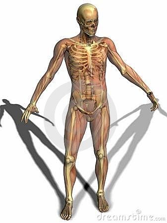 Saludo Ocupacional