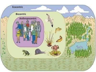 CONSERVACIÓN AMBIENTAL