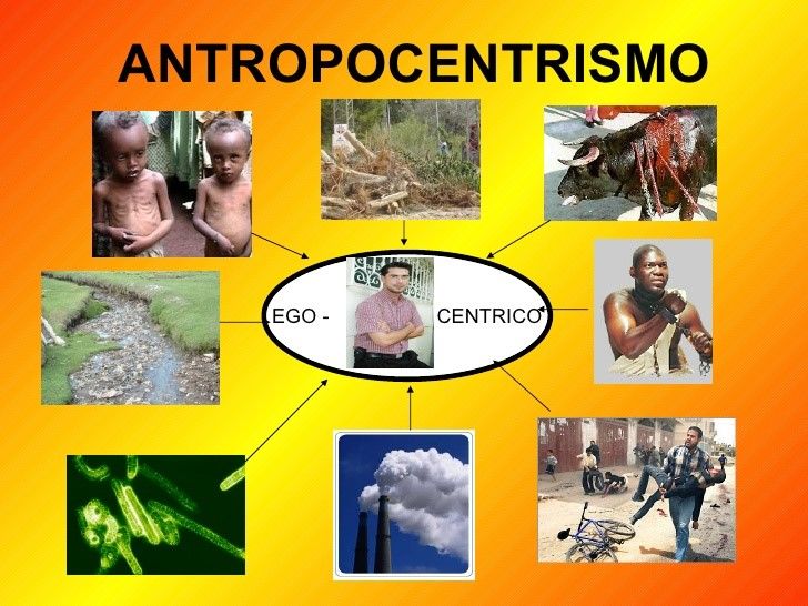 CONSERVACIÓN AMBIENTAL