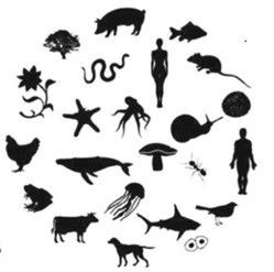 CONSERVACIÓN AMBIENTAL