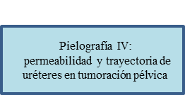 Evaluación preoperatoria y manejo postoperatorio