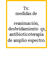 Evaluación preoperatoria y manejo postoperatorio