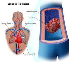 Evaluación preoperatoria y manejo postoperatorio