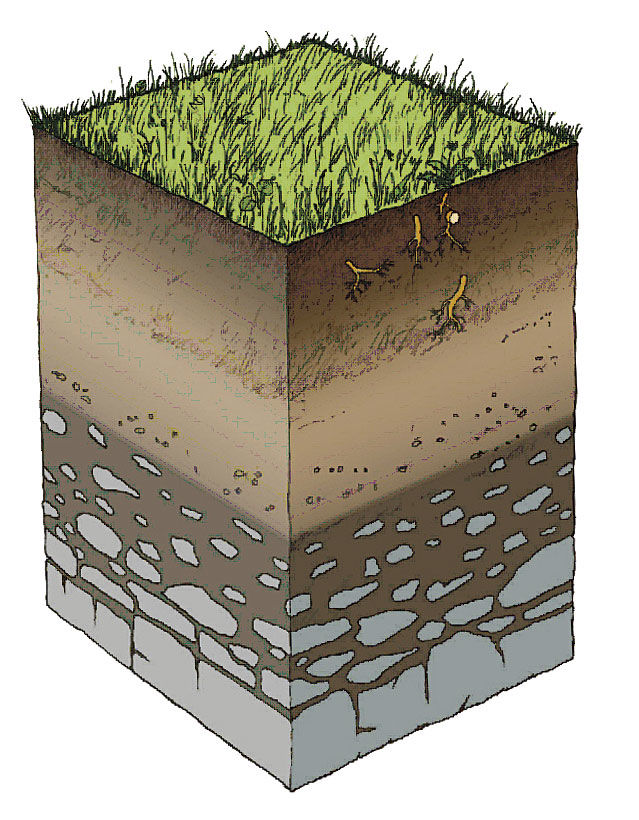 sedimentne,metamorfne in magmatske kamnine