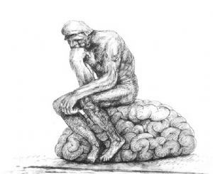 Aportes de la filosofia, la fisiologia y la biologia a la psicologia