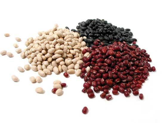 Los grupos de alimentos