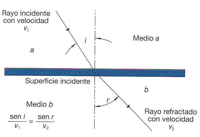Movimiento ondulatorio