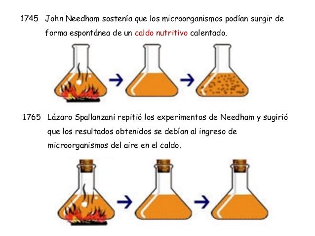 TEORÍA DE LA GENERACIÓN ESPONTÁNEA y aportaciones de Louis Pasteur, Francesco Redi y Lazzaro spallanzani