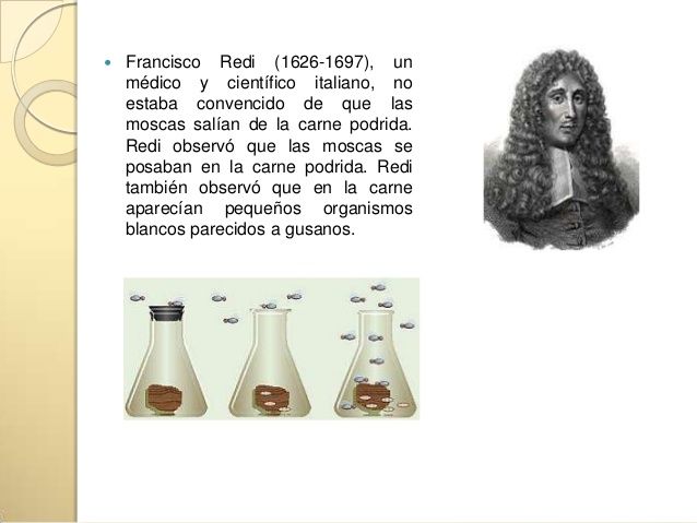 TEORÍA DE LA GENERACIÓN ESPONTÁNEA y aportaciones de Louis Pasteur, Francesco Redi y Lazzaro spallanzani