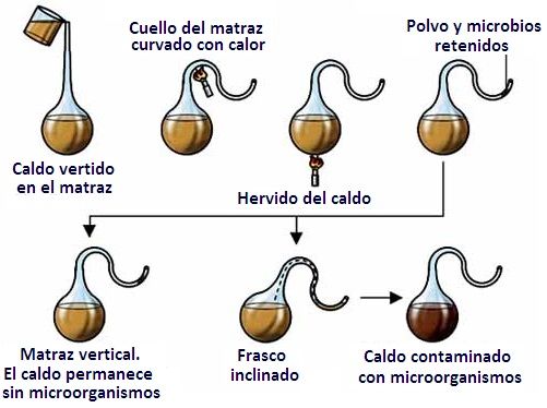 TEORÍA DE LA GENERACIÓN ESPONTÁNEA y aportaciones de Louis Pasteur, Francesco Redi y Lazzaro spallanzani
