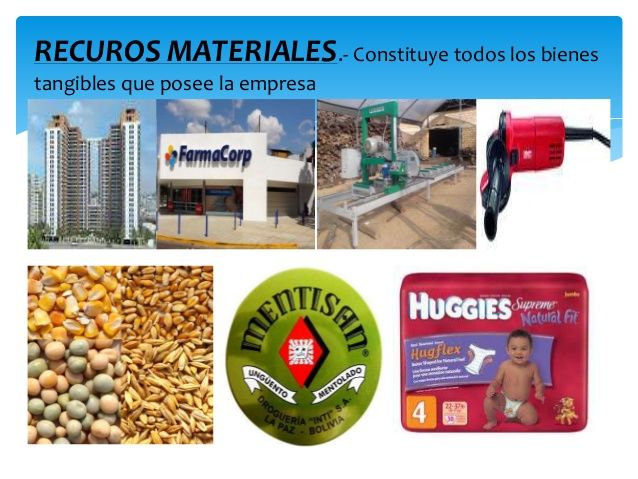 Tipologia de Recursos en la Organización