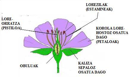 LANDAREAK