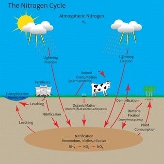 Cycles