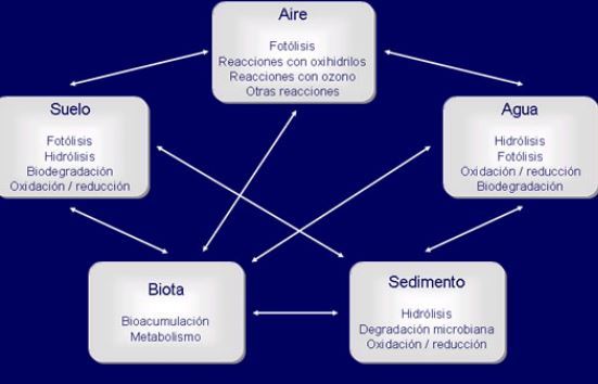 PESTICIDAS
